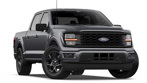 Parks Ford of Wesley Chapel in Wesley Chapel FL