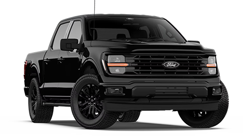 Parks Ford of Wesley Chapel in Wesley Chapel FL