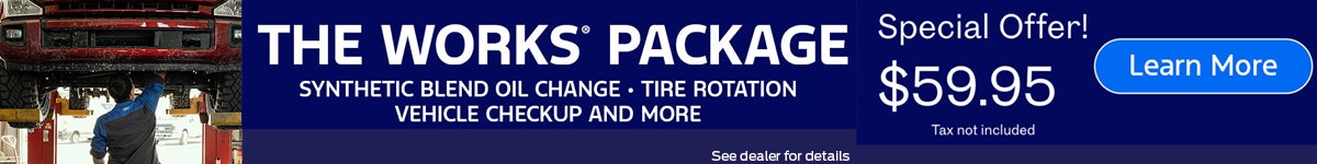 ford the works service