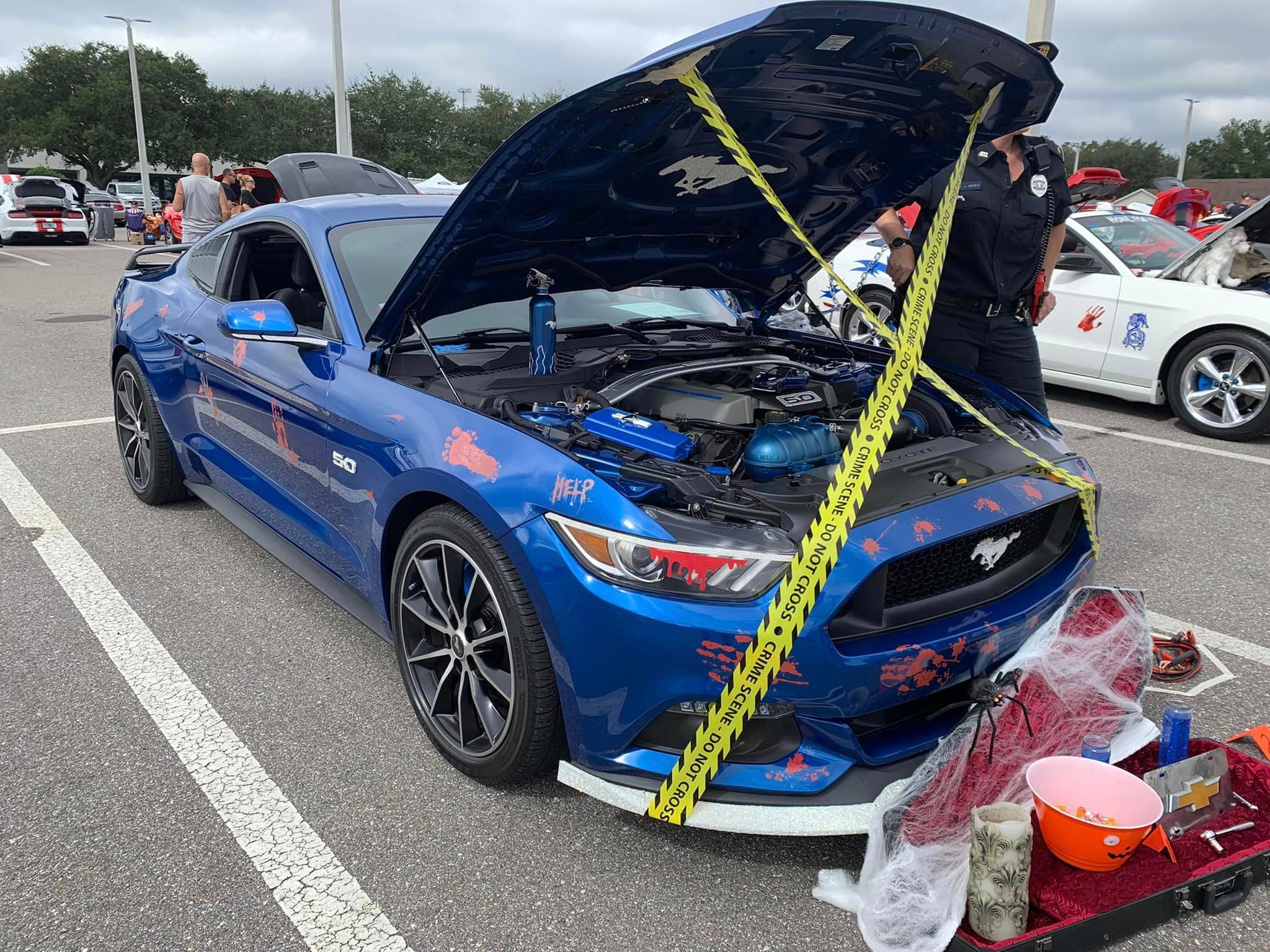 Mustang Madness Car Show