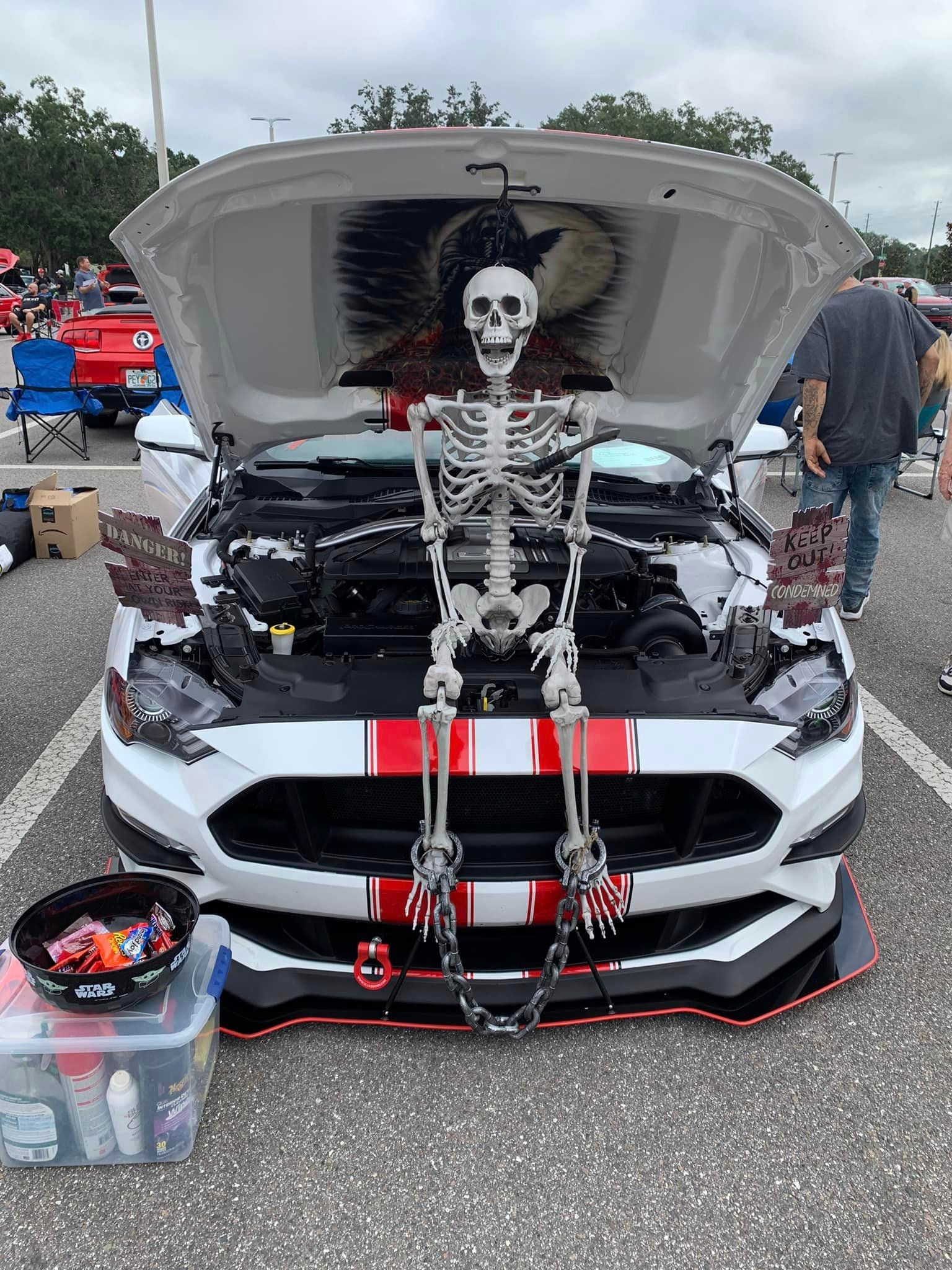 Mustang Madness Car Show