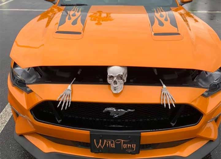 Mustang Madness at Parks Ford of Wesley Chapel