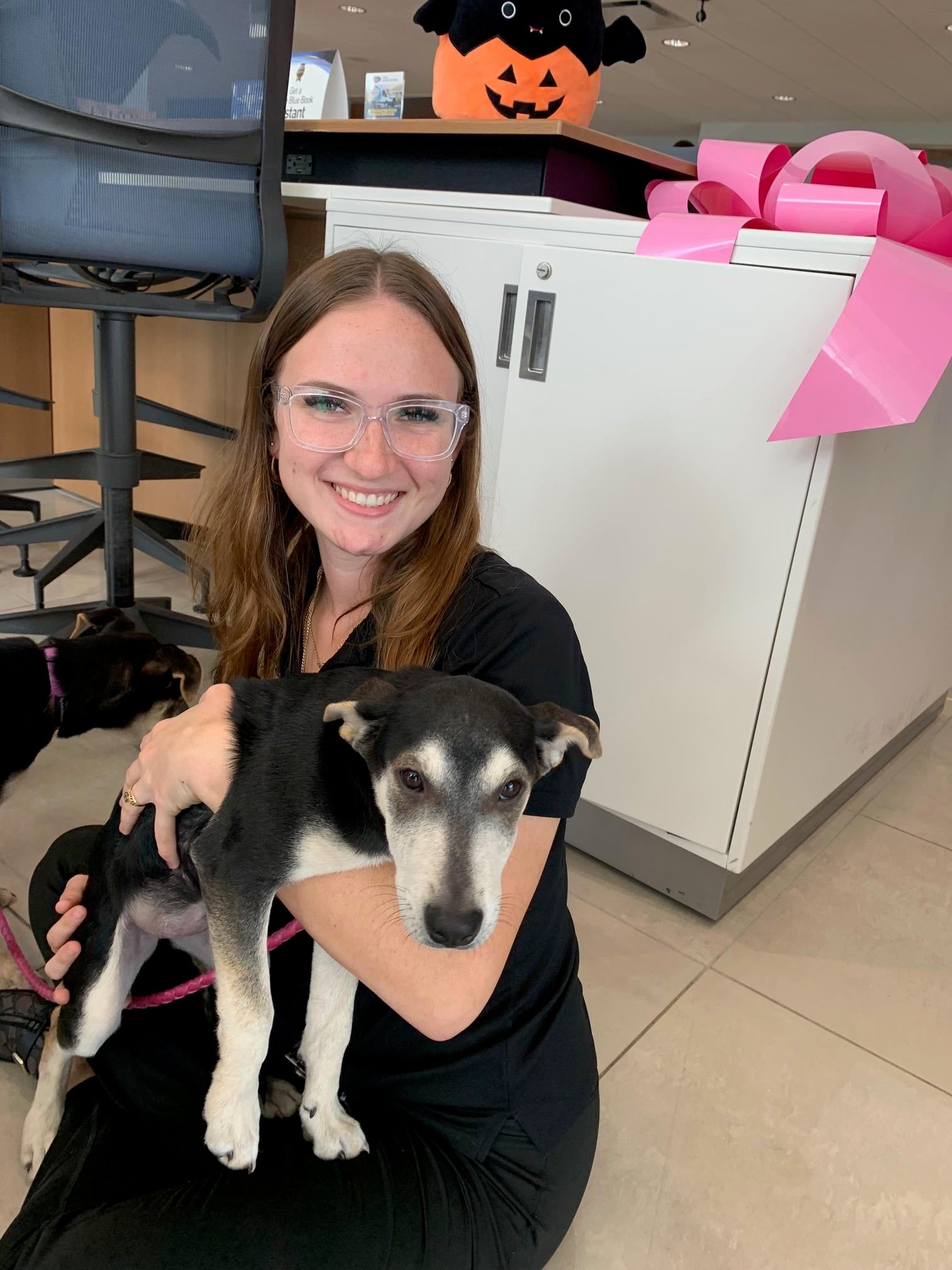 2023 Southern State Bully Rescue